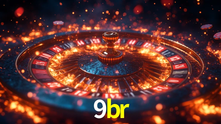 9br App Interface